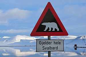 Polar-Bear-Warning-Longyearbyen