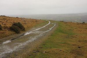 Redlake Tramway - geograph.org.uk - 1130078