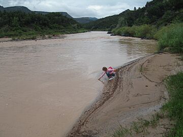 Rio Grande at Blue Dot Trail End