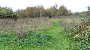 Ripple Nature Reserve 2