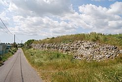 Roman Wall, Reculver Roman Fort - geograph.org.uk - 1470820.jpg