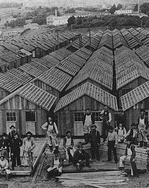 Row of shacks