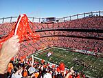 SAF at Mile High AFC Championship game pom-poms.jpg