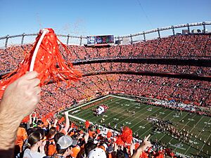 SAF at Mile High AFC Championship game pom-poms