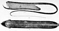 Saccopharynx ampullaceus drawing