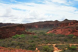 Sandstone cliffs -Bahia - Brazil-17Dec2007a