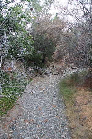 Saratoga Creek, California 2015.JPG