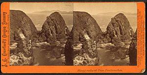 Shagg rocks at Cape Foulweather, by J. G. Crawford