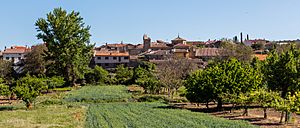 Sienes, Guadalajara, España, 2017-05-23, DD 15.jpg