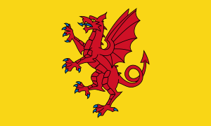 Somerset Flag