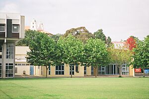 St Peter's College - Middle School & Bro Smith Music and Drama Suit