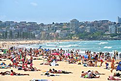 Summer at Manly Beach
