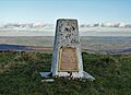 Triangulation Pillar, Merryton Low