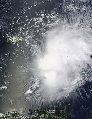 Tropical Storm Erika 2009-09-03 1510Z