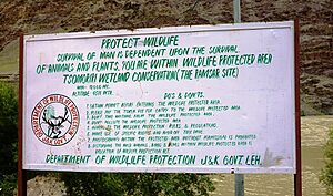 Tsomomiri Wetland Conservation (The Ramsar Site)