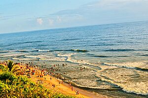 Varkala Beach, Varkala, Kerala.jpg