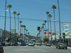Ventura and Laurel Canyon boulevards, 2008