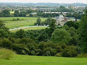View from Colwick Woods park - geograph.org.uk - 861161