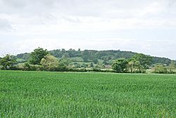 View towards Fiddleford and Piddles Wood - geograph.org.uk - 437962.jpg