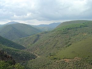 Vista de los alrededores de San Esteban de la Sierra