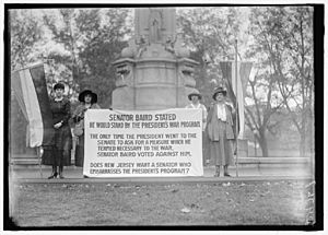 WOMAN SUFFRAGE BANNERS LCCN2016869547