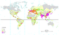 World population density 1994 - with equator