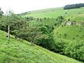 Above Coombs Dale - geograph.org.uk - 1365773