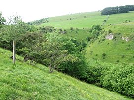 Above Coombs Dale - geograph.org.uk - 1365773.jpg