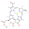 Bacteriochlorophyllide a