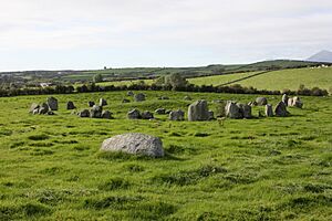 Ballynoe (25), September 2009