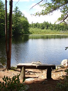 Bear Brook State Park - Beaver Pond.JPG
