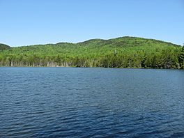 Bear Pond below Lead Mountain in the spring