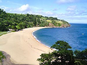 A sandy beach surrounded by trees with a small cliff at the furthest end.