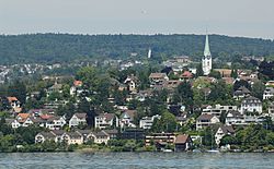 Blick vom Zürichsee auf Zollikon (2009)