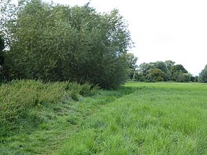 Bramford Meadows 3