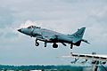 British Aerospace Sea Harrier FRS1, UK - Navy AN2111926