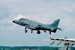 British Aerospace Sea Harrier FRS1, UK - Navy AN2111926