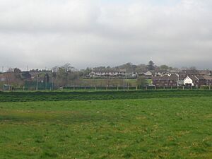 Burnfoot
