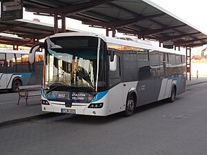 Bus station, T-bus (PLM-462), 2019 Tatabánya