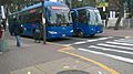 Buses en la avenida Arequipa
