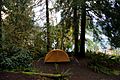 Camping site Lake Quinault