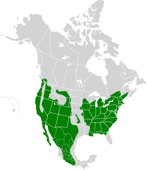 Carpodacus mexicanus map history4
