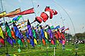 Cherry Blossom Kite Festival