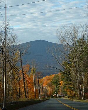 Cheshire-Greylock