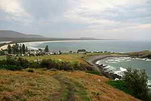 Cresent Head Overview