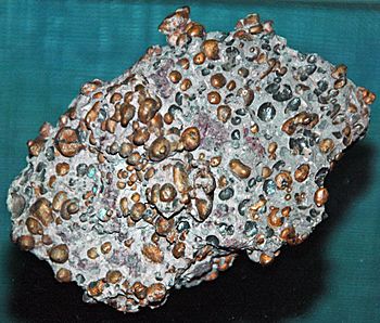 Cupriferous amygdaloidal basalt (Mesoproterozoic, 1.05-1.06 Ga; Wolverine Mine, Kearsarge, Upper Peninsula of Michigan, USA) (17323753605)