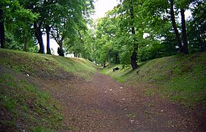 Ditch of the Antonine Wall at Watling Lodge (geograph 1649848)