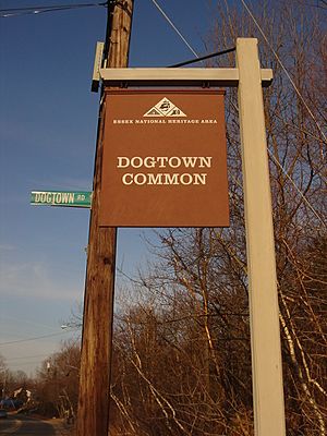 Dogtownentry