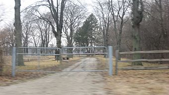 Driveway at the Dodge Site.jpg