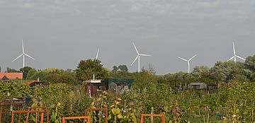 Earls Hall Farm Wind Farm, from St Osyth allotments